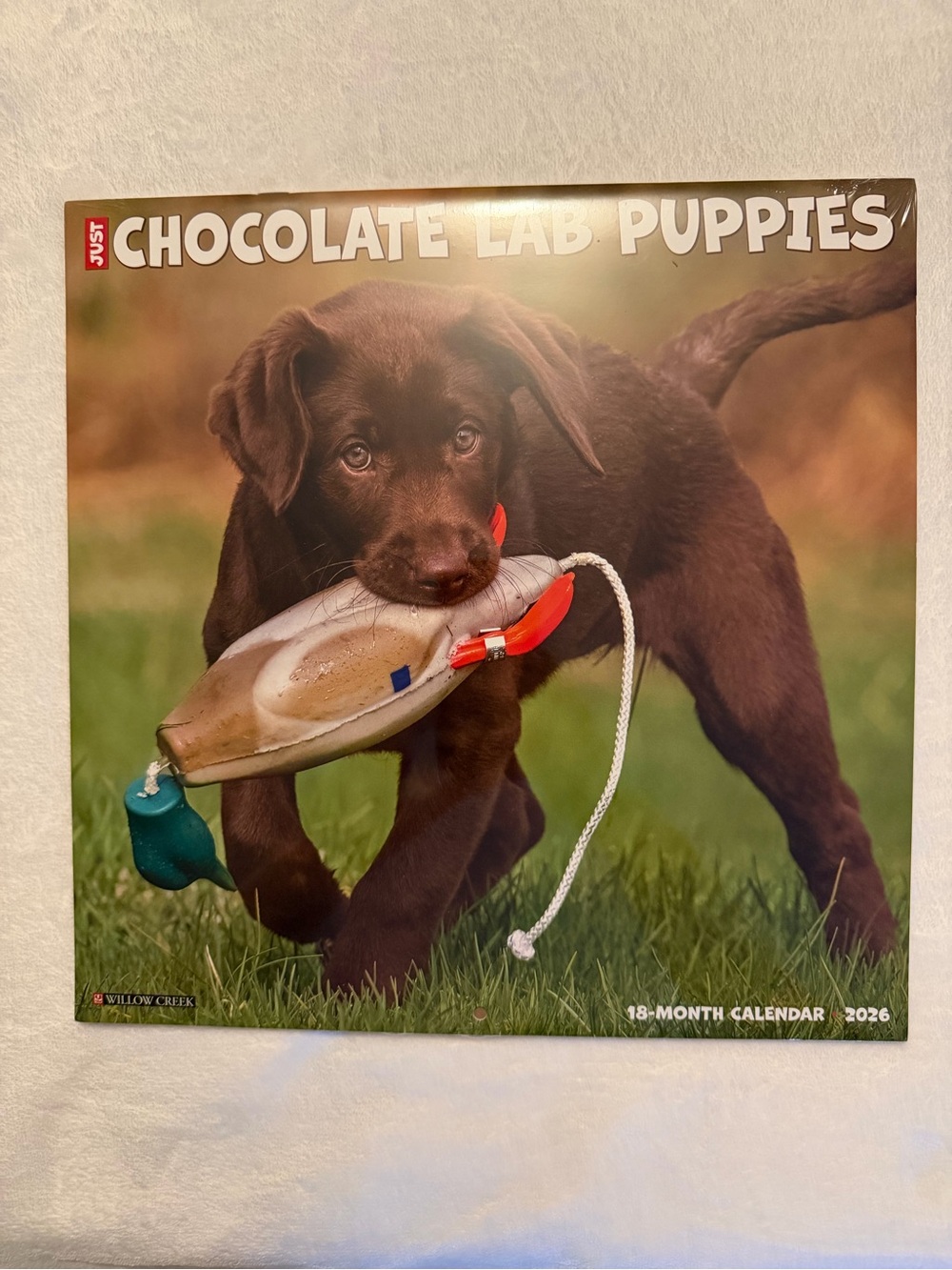 Chocolate Lab Puppies 18 Month 2026 Wall Calendar